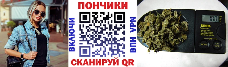 Каннабис сатива  купить  сайты  Суровикино 